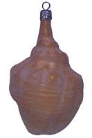 Conch Shell